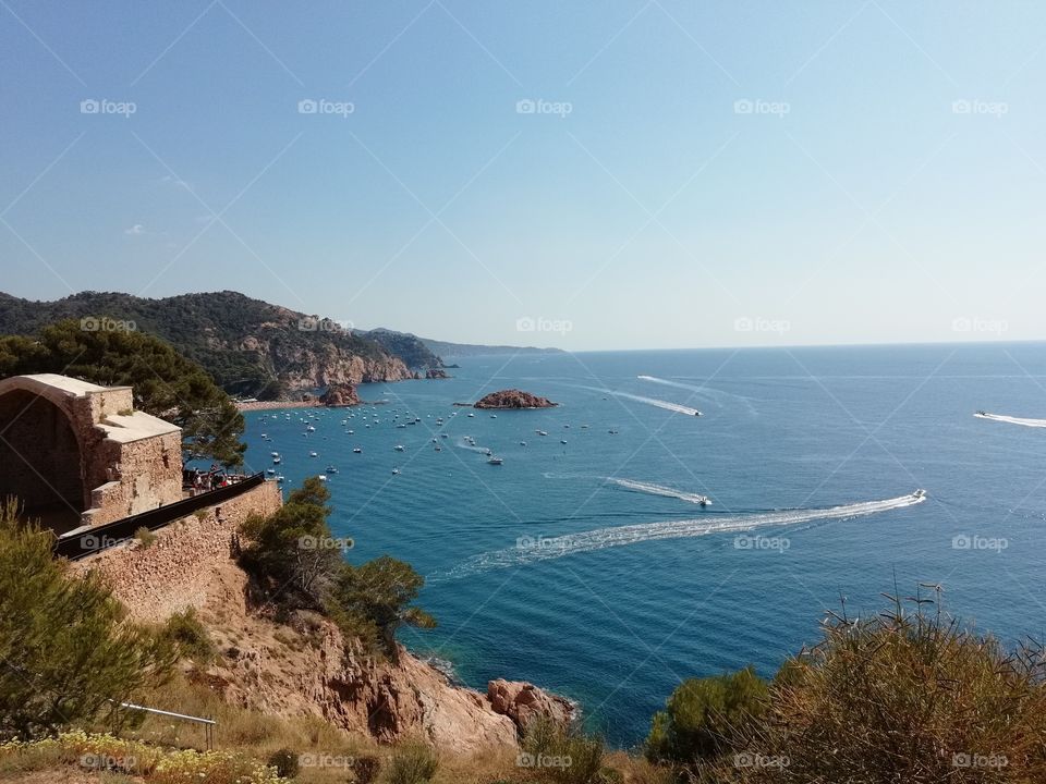 Tossa de mar