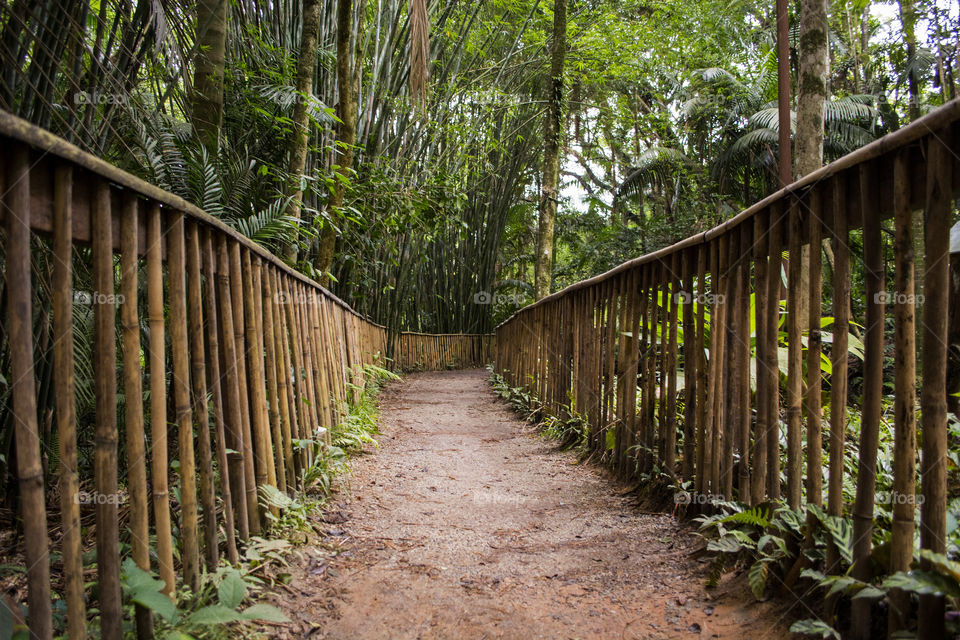 Fenced path