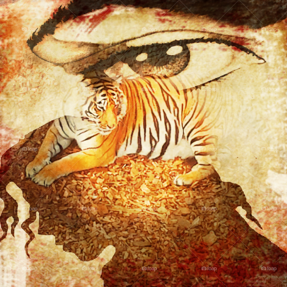 wildthing . wildthing 