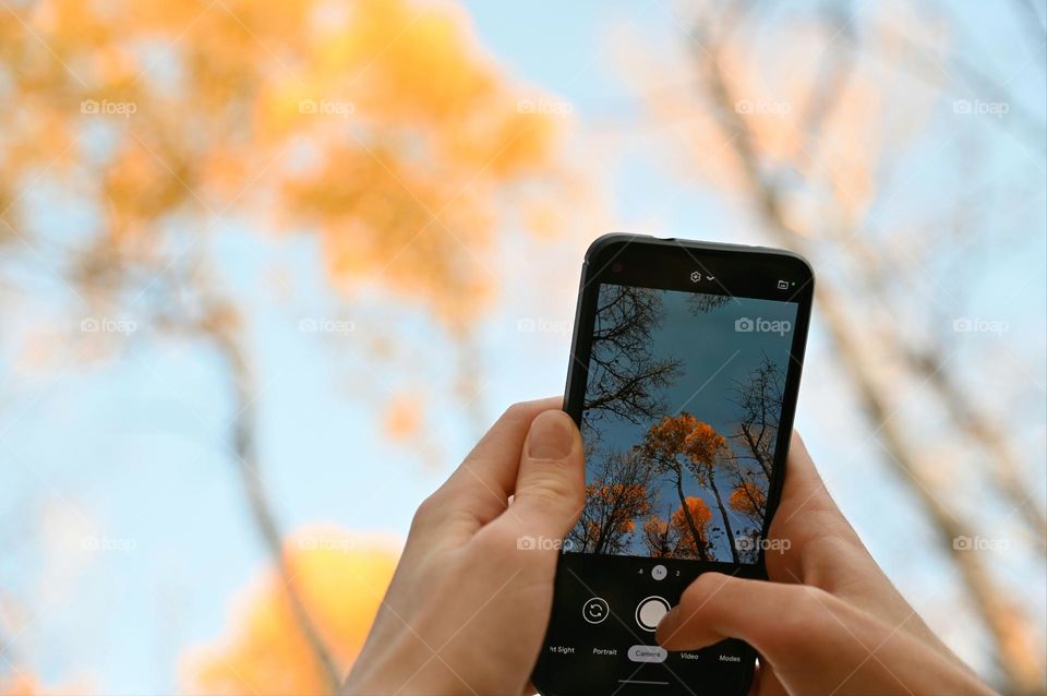 Taking pictures of the fall colors