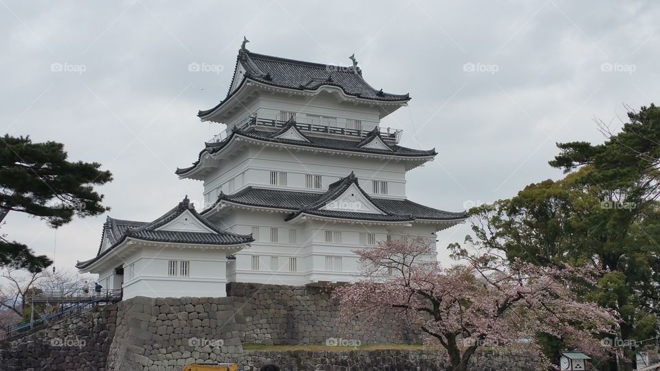 Odawara Castle, Japan