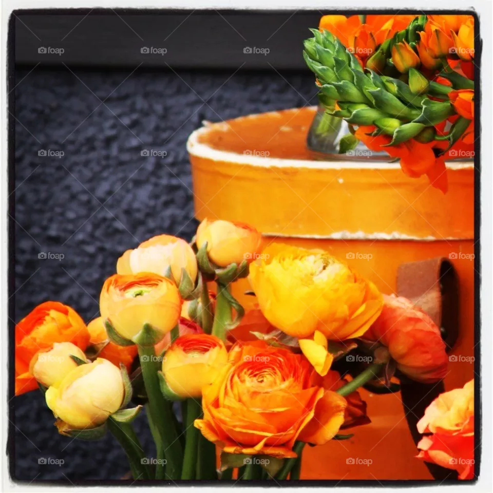 Flowers