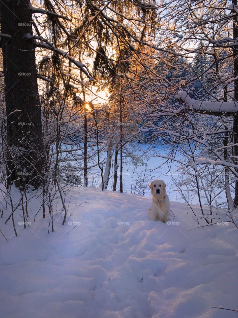 Frosty morning.