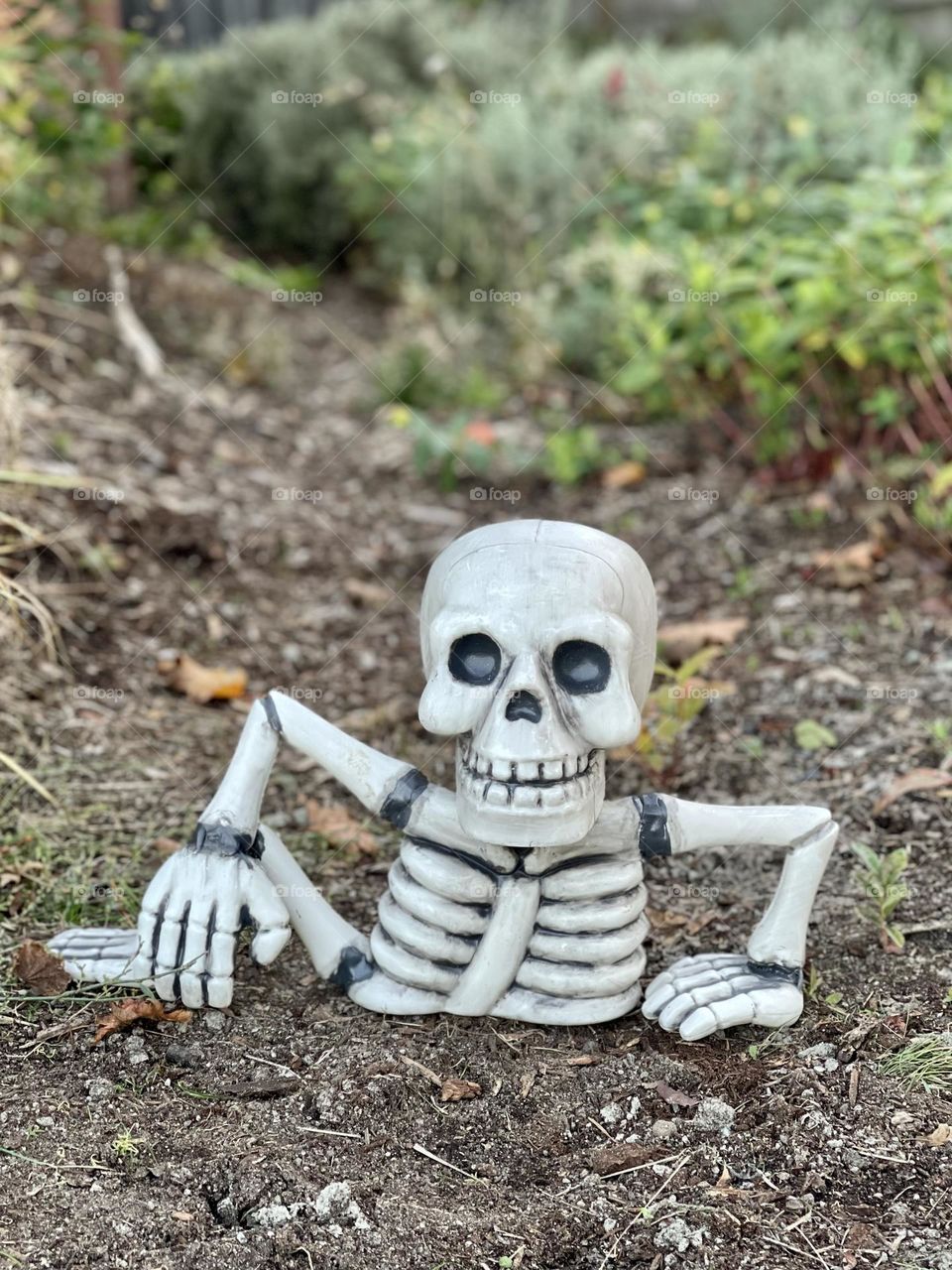 Small skeleton gets out from the ground 