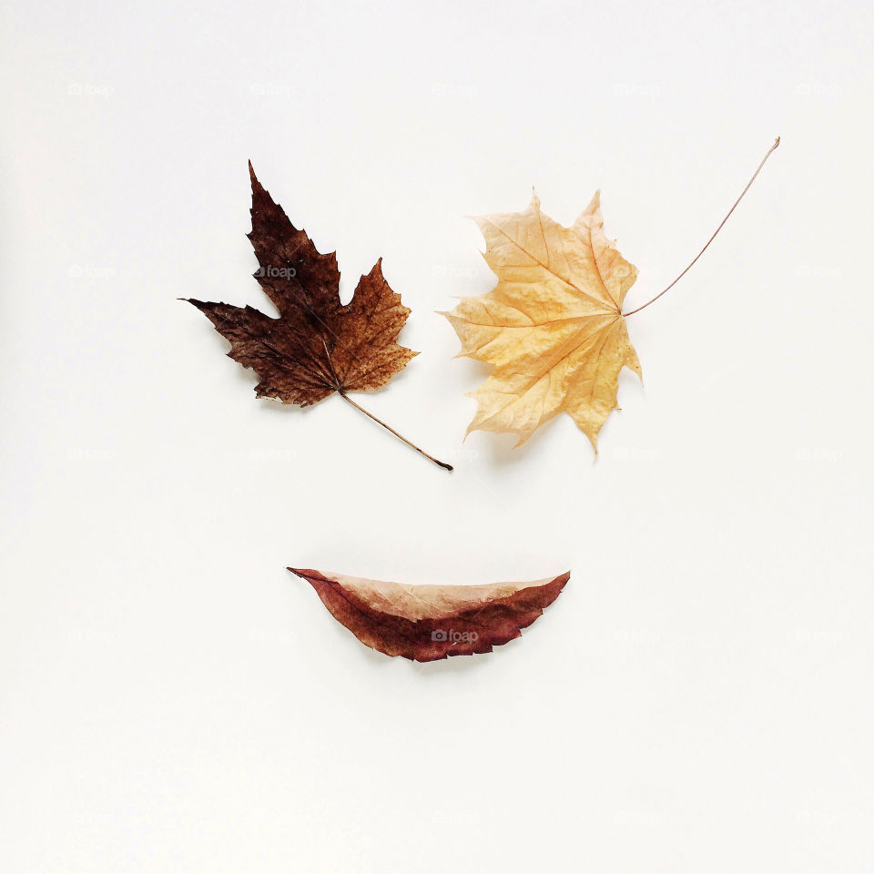 face-shaped autumn leaves on a white background