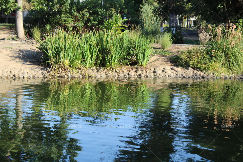 Water, Pool, River, Reflection, Nature