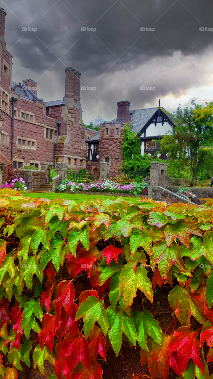 Old castle with colorful foliage