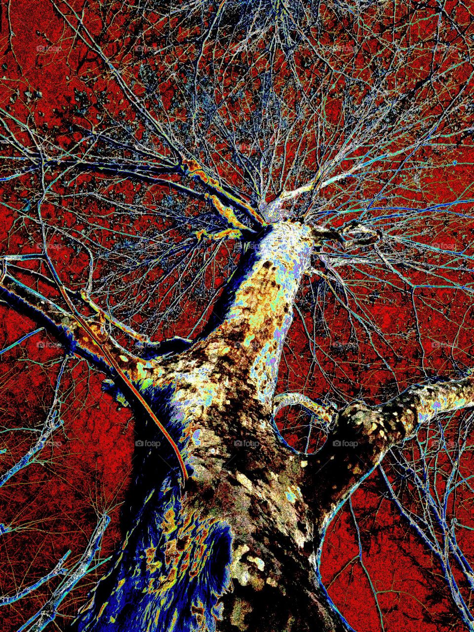 Radicating in the sky