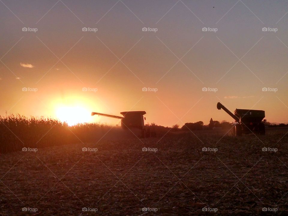 Sunset, Dawn, Landscape, No Person, Agriculture