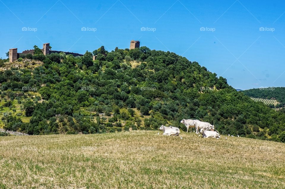 Tuscany