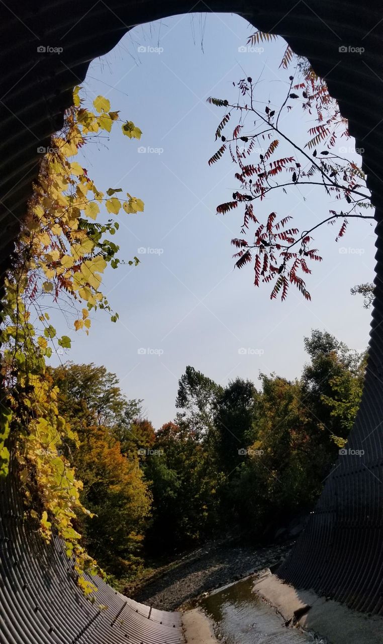 From Inside A Culvert