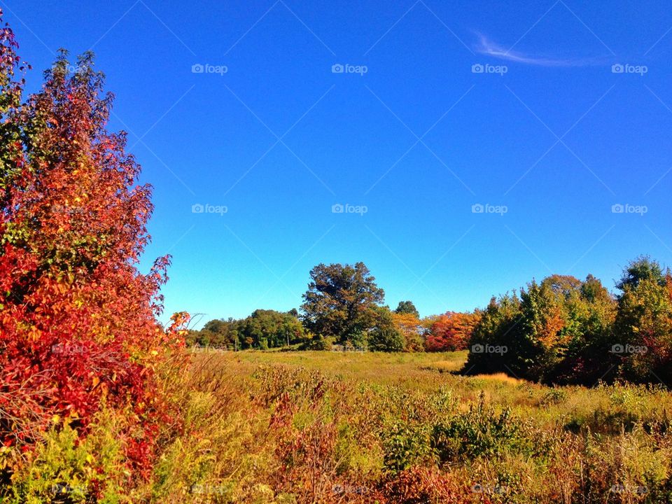 Nature walk