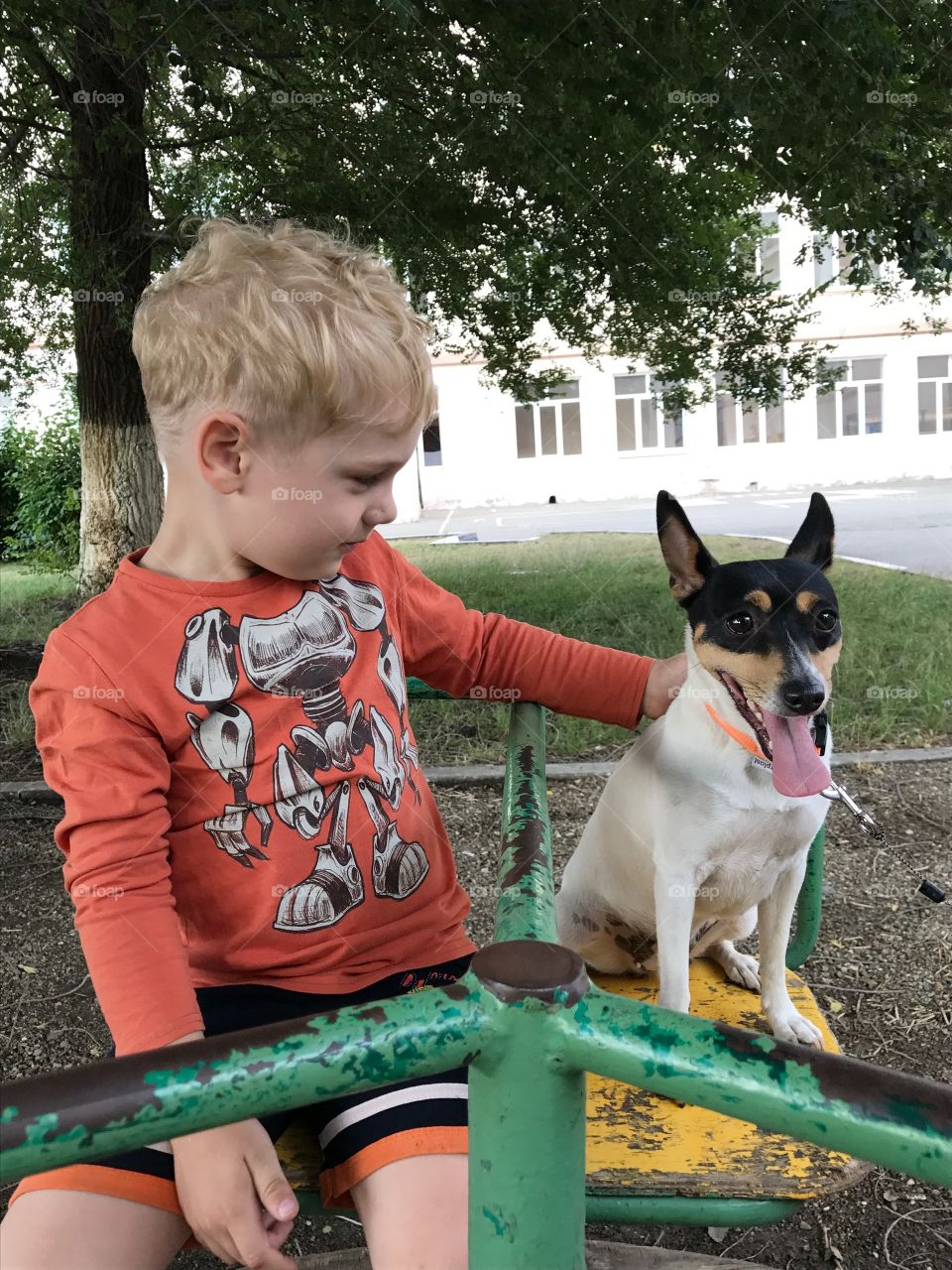 Boy and dog 