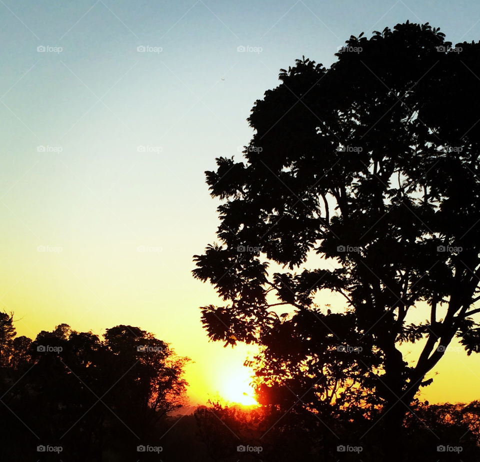 🌄🇺🇸 An extremely beautiful dawn in Jundiaí, interior of Brazil. Cheer the nature! / 🇧🇷 Um amanhecer extremamente bonito em Jundiaí, interior do Brasil. Viva a natureza!