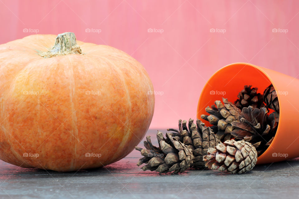 Vegetables, Halloween, pumpkin, corn, harvest, fertility, agriculture, food, cones, forest, birch branches