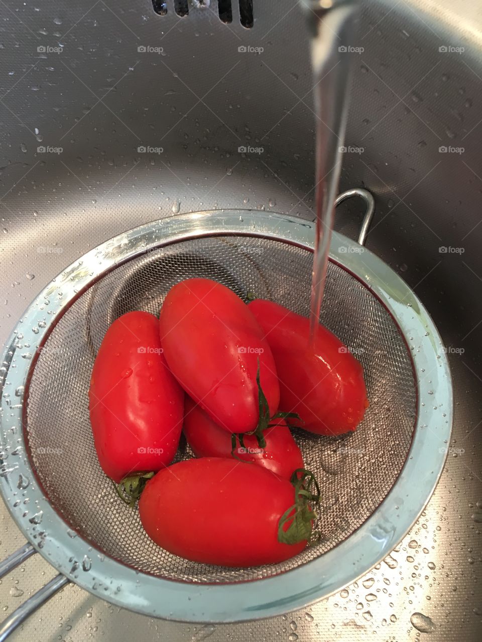 Washing tomatoes for lunch 