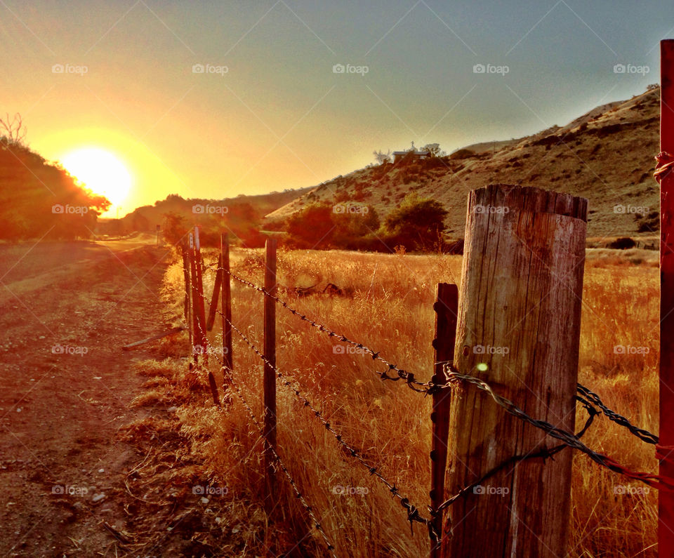 field pretty fence sunset by quick711