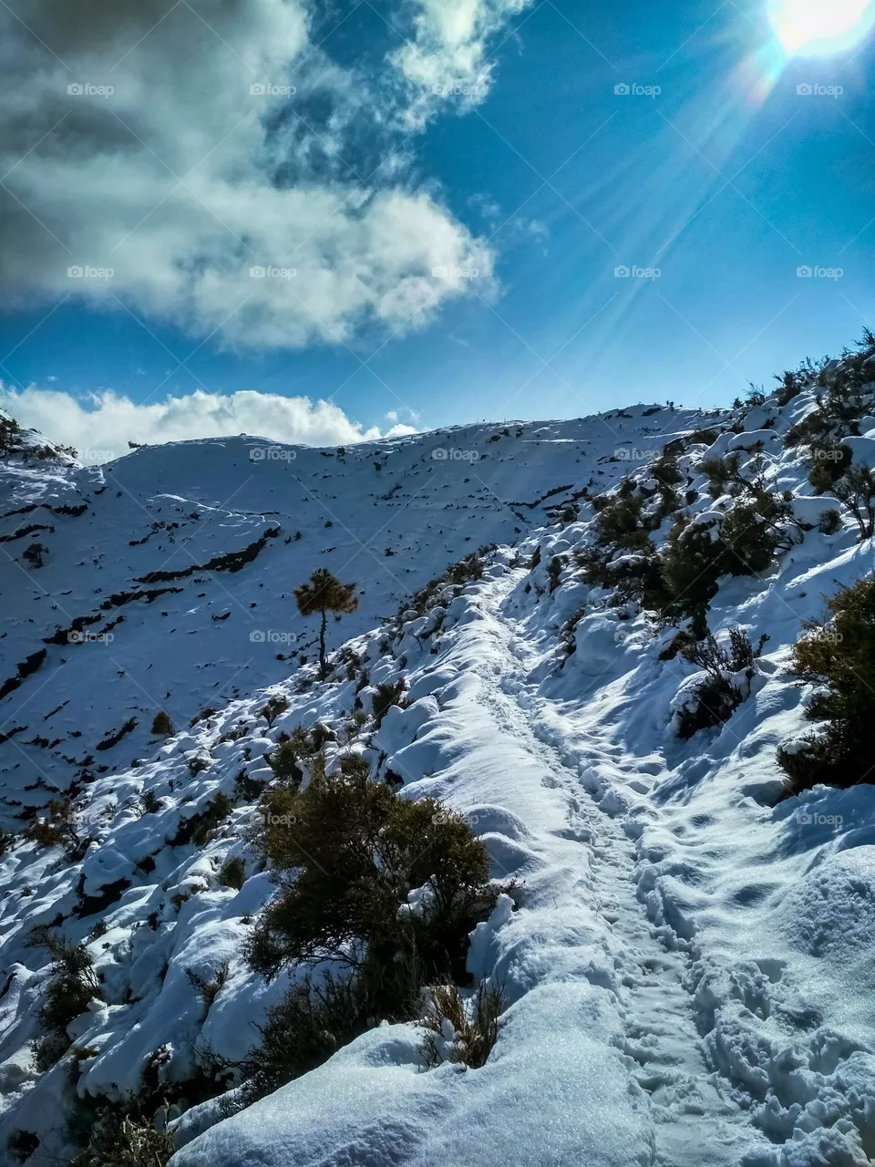 snow view on the mountain of Himachal Pradesh