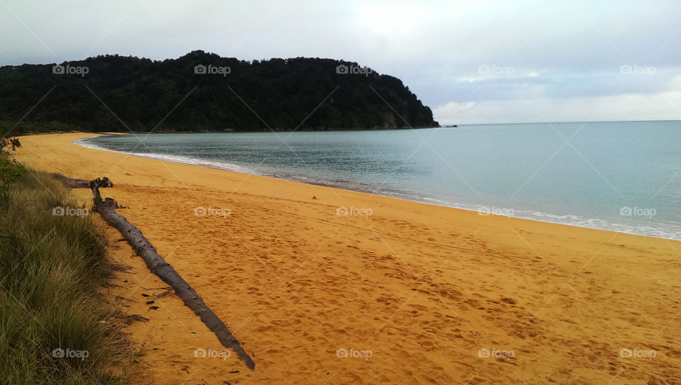 like a orange. after the rain the color of the rain turned into this crazy orange. it was mindblowing