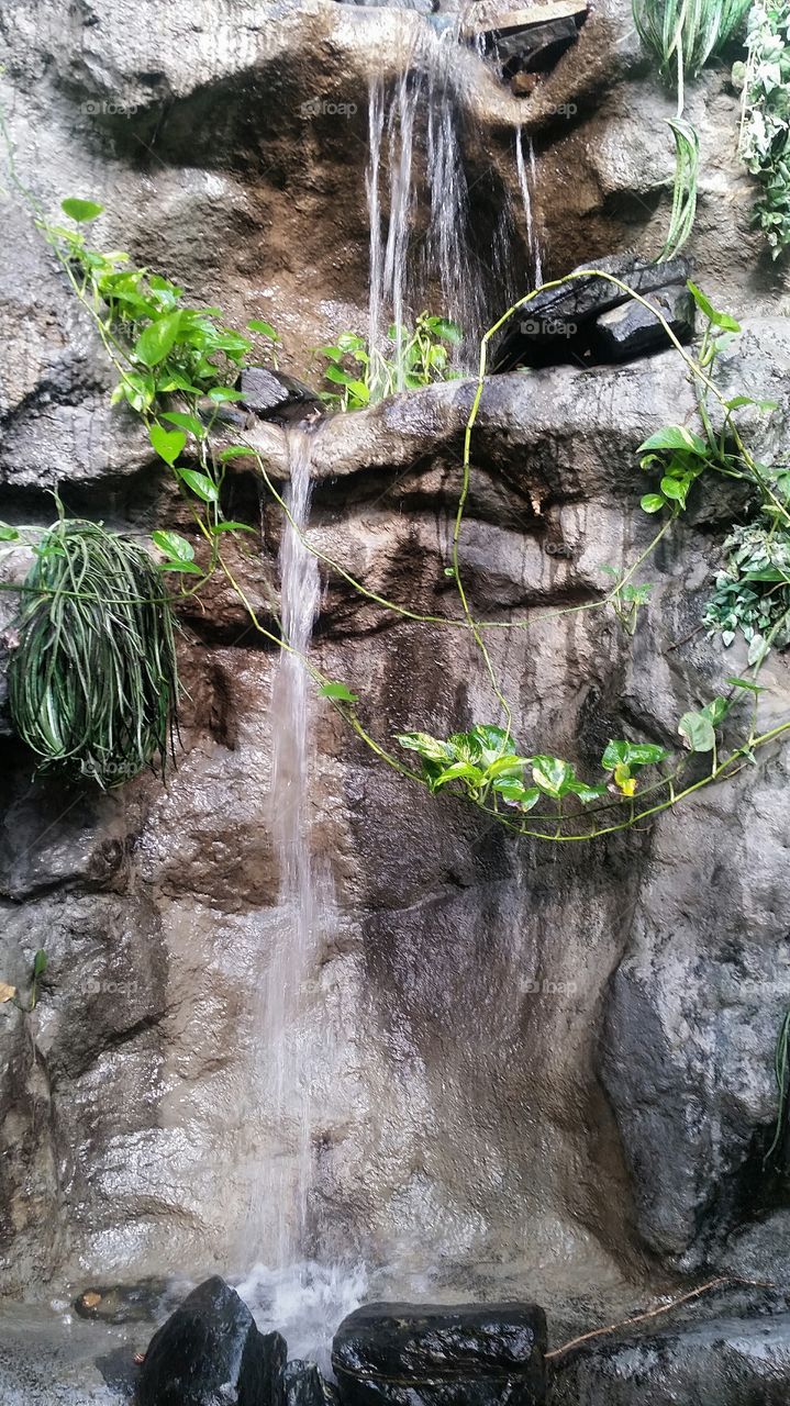 waterfall in a tropical rainforest