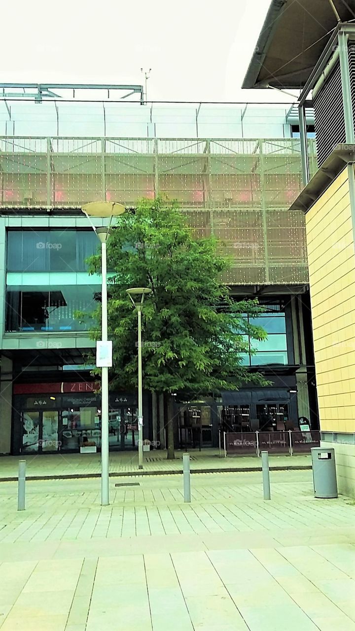 Millennium Square Building 