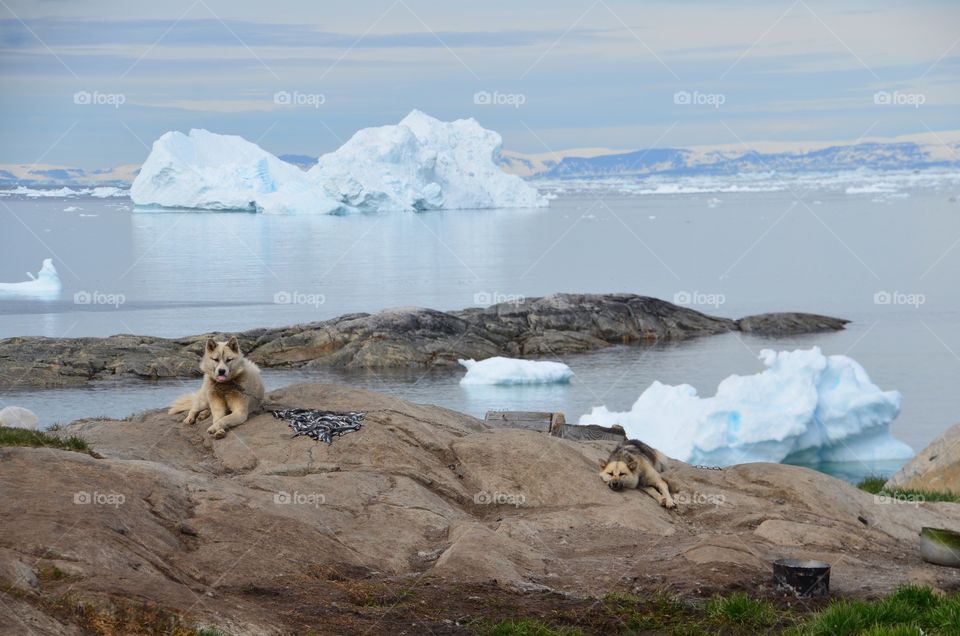 Greenland