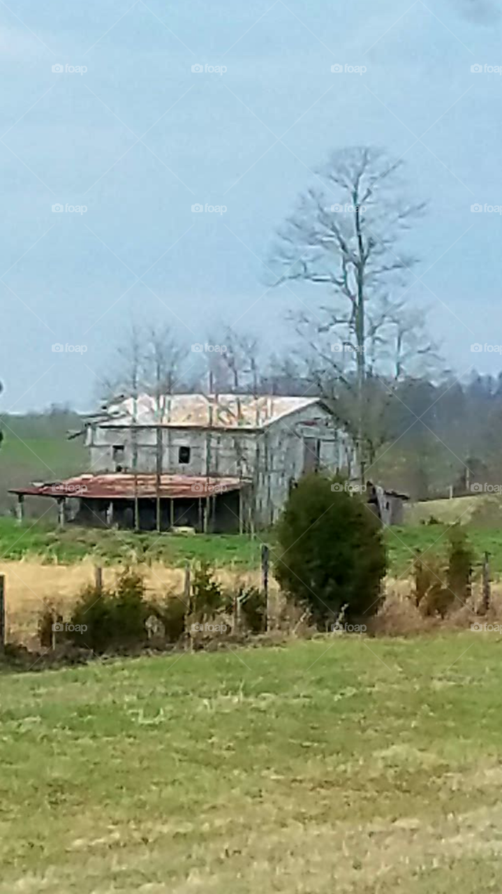 Old Barn in Kentucky