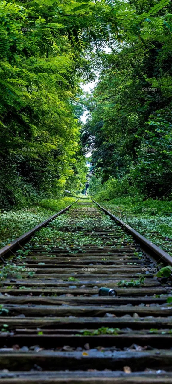 nature scenes