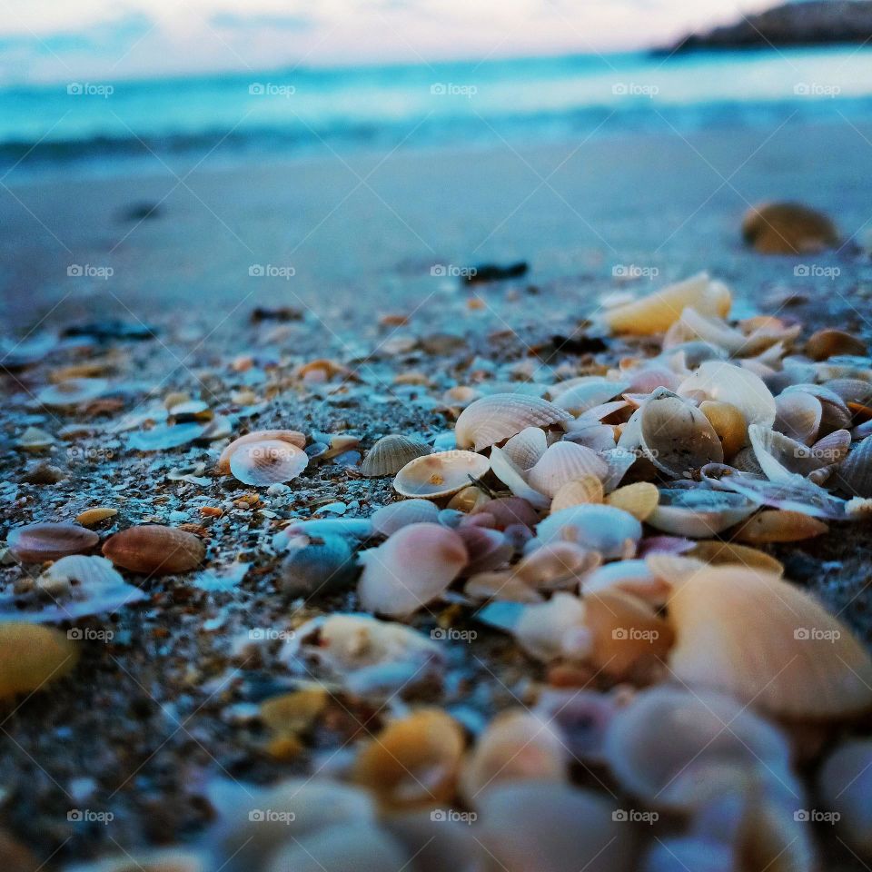 little thing in the beach