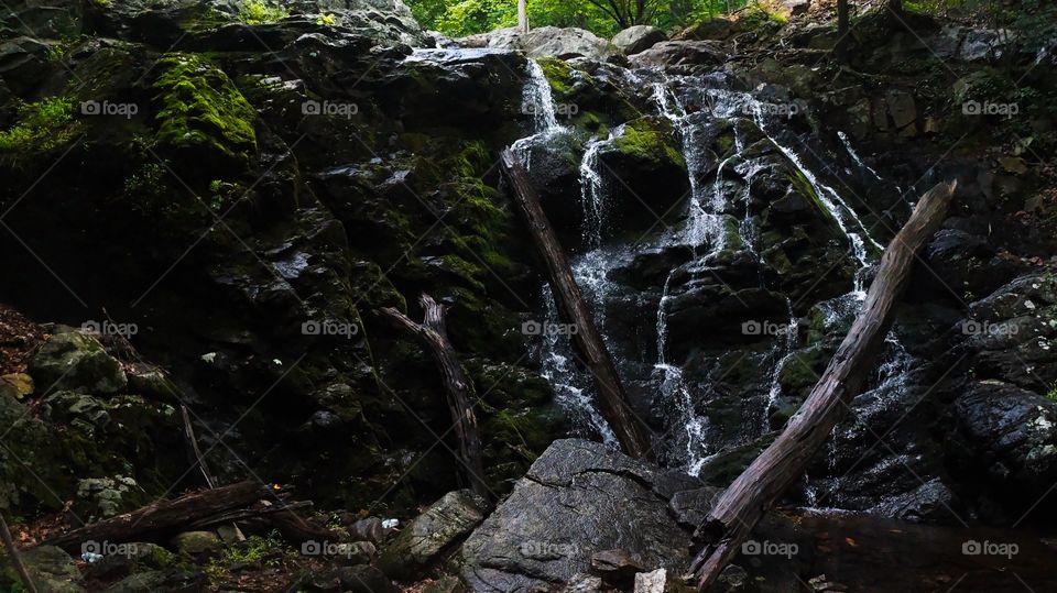 Trees surround this waterfall