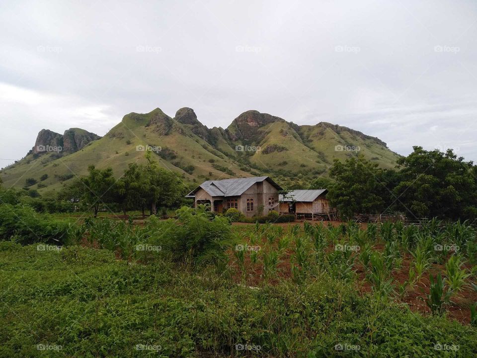 Little House Near Weworowet Hills, Waekokak Village, Nagekeo District, Flores Island, Indonesia