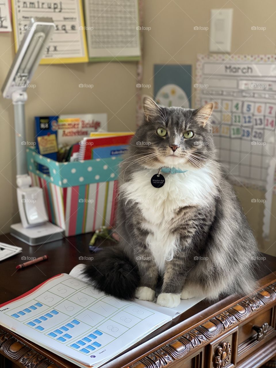 Ready for remote learning 