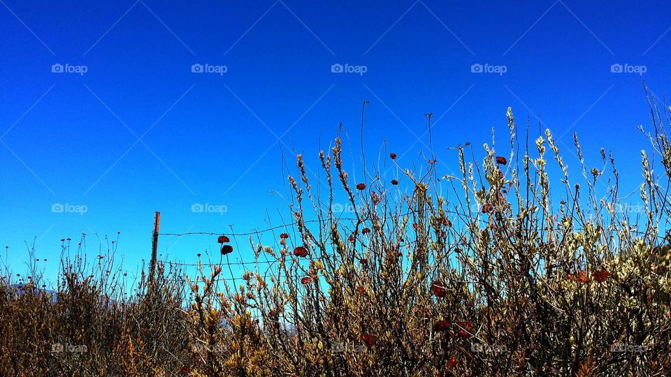Sky and Barbed Wire