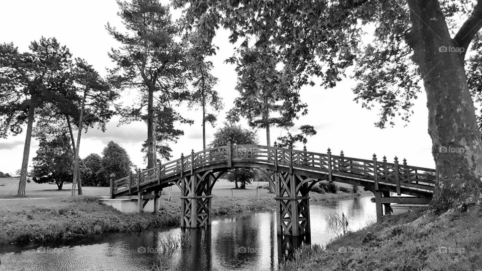 wooden bridge in black and white