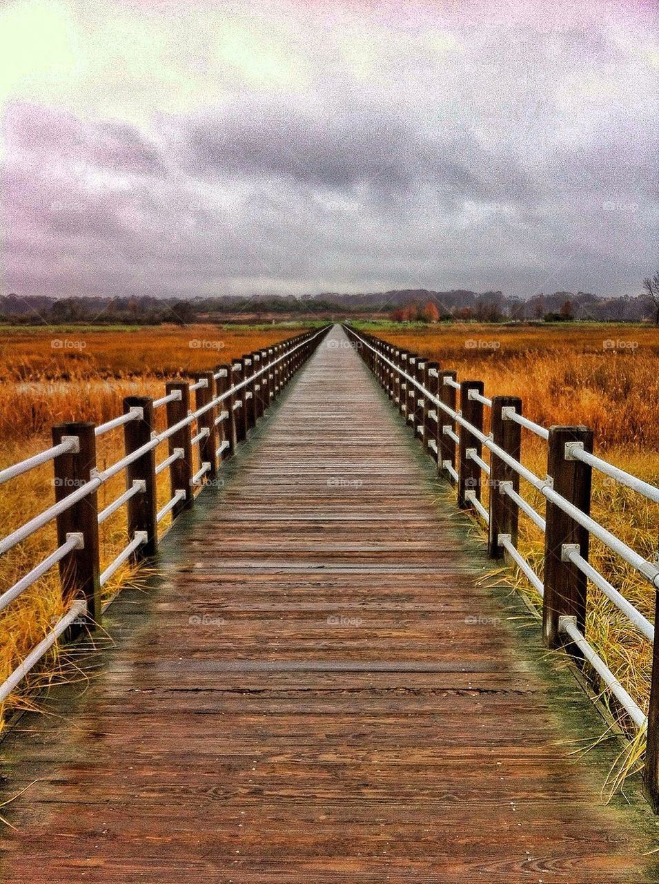 Silver Sands State Park