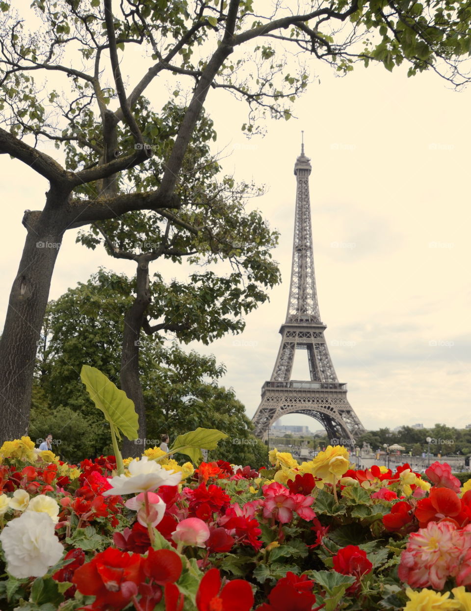 flowery Eiffel tower