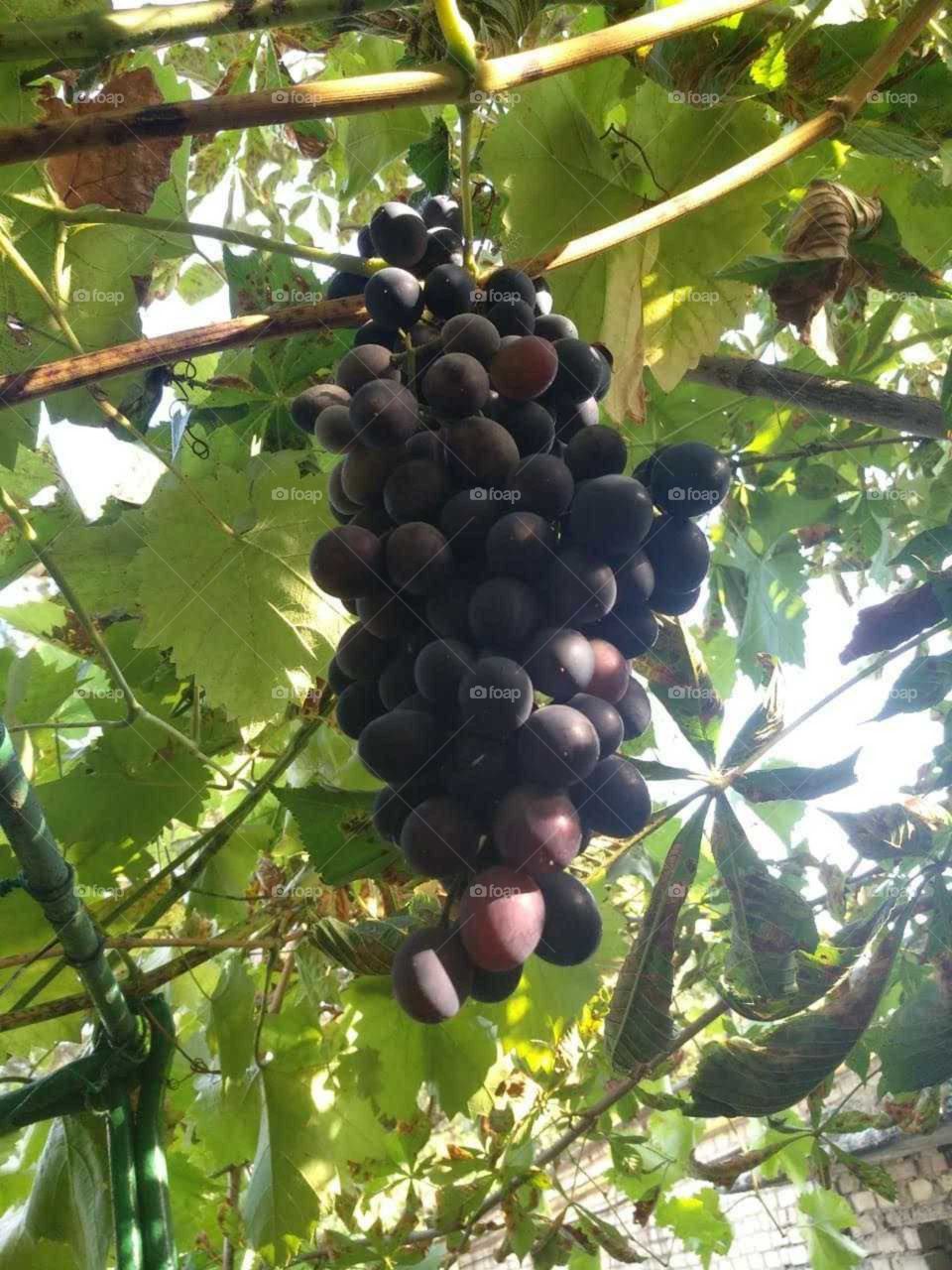 красота в природе