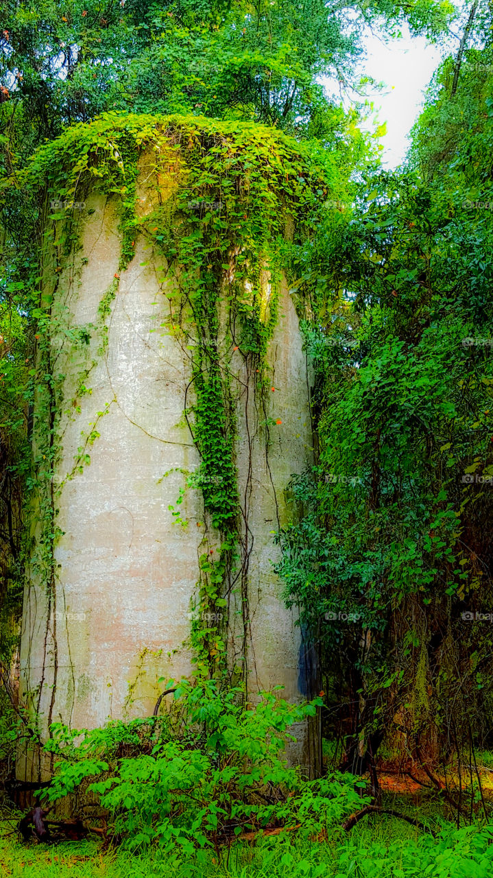 Old grain silo.