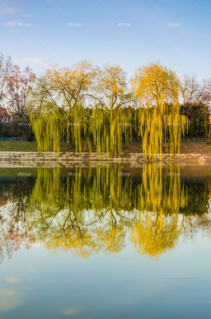 city park with lake in the spring season