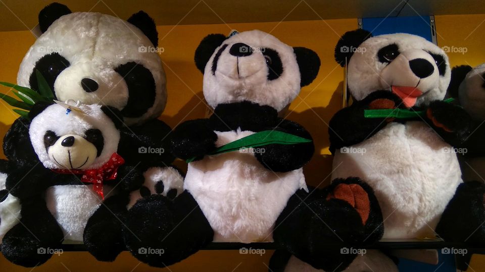 pandas shoping for babies