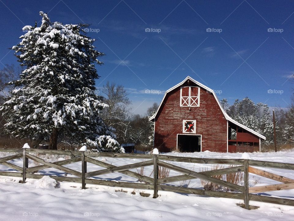 Holiday Snow 