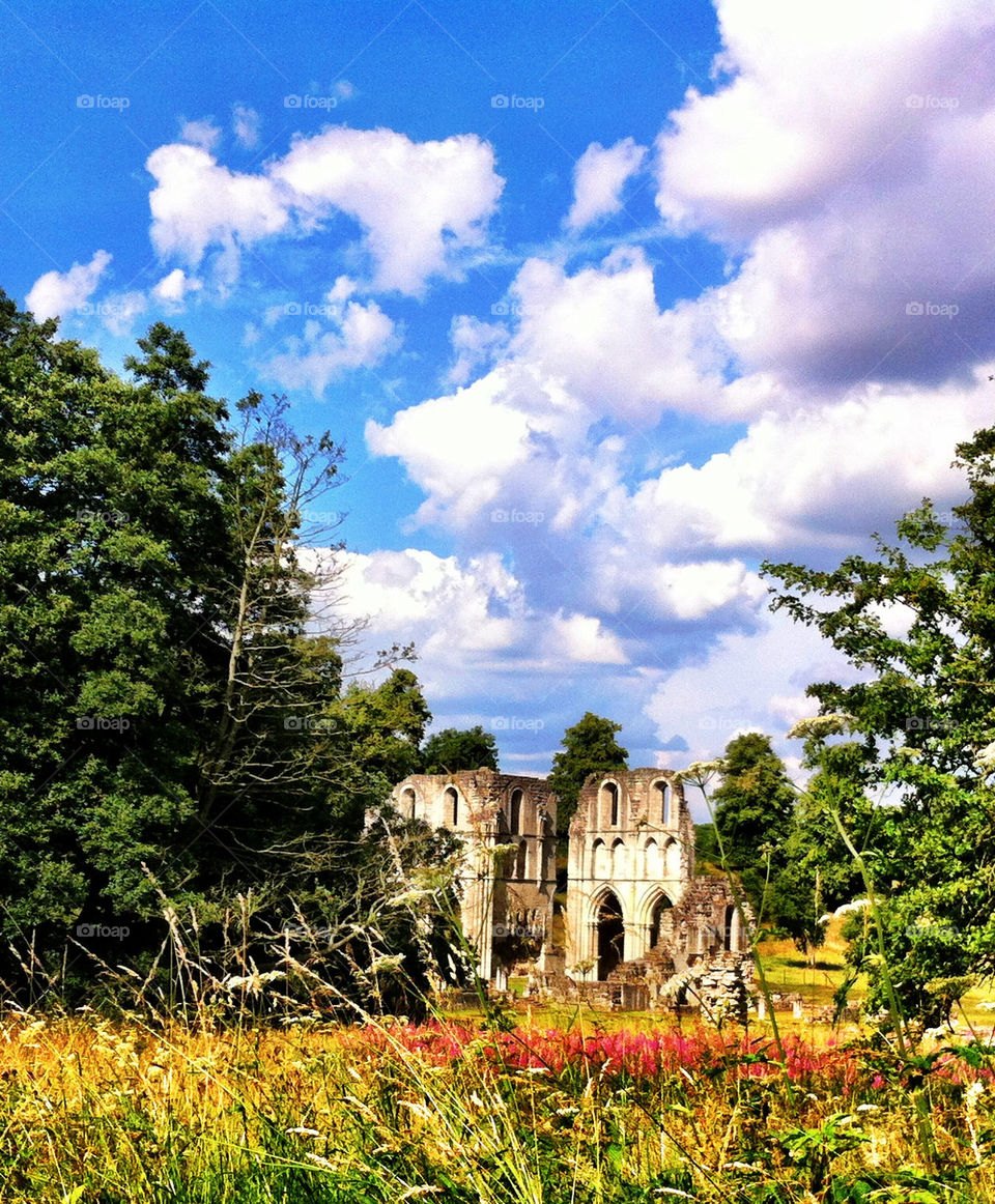 Summers day at Roche Abbey
