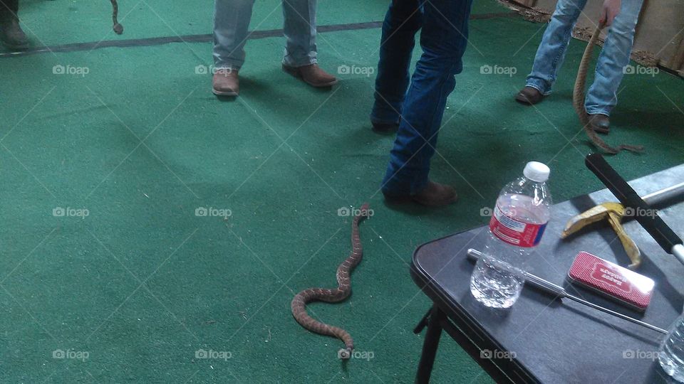 coming up behind you. this guy is about to get bite