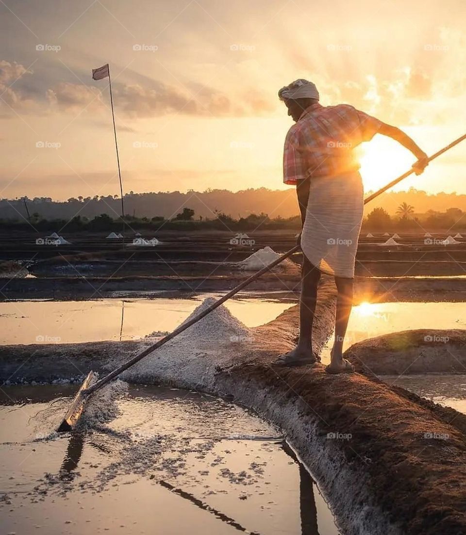 Salt pan fram scenes during a lovely evening. Gao, India