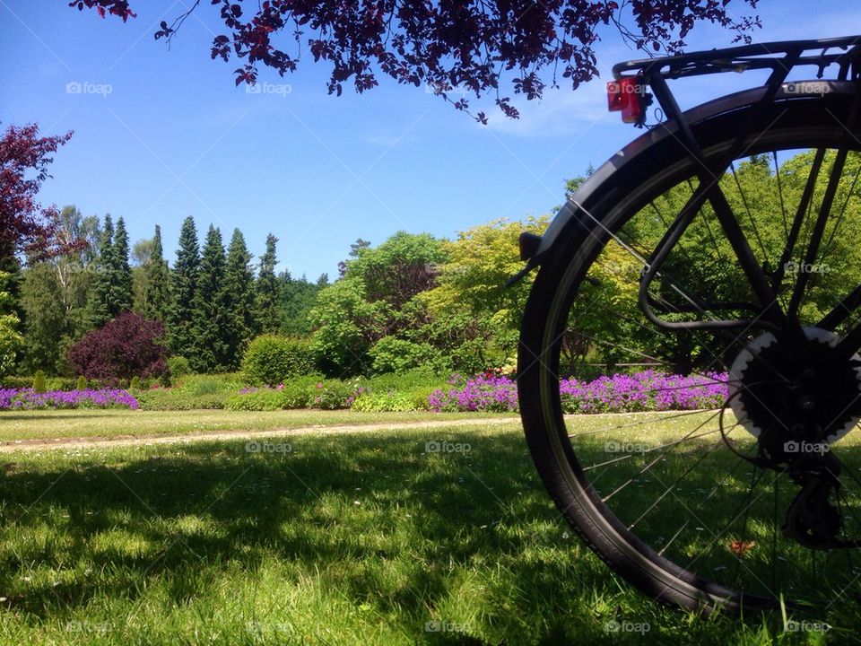 Cycling