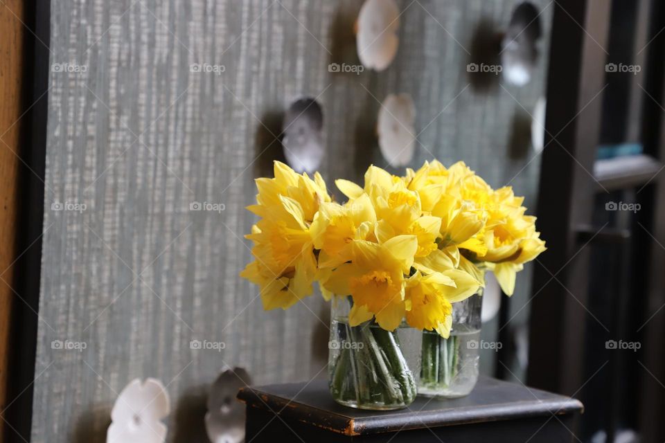 Daffodils 