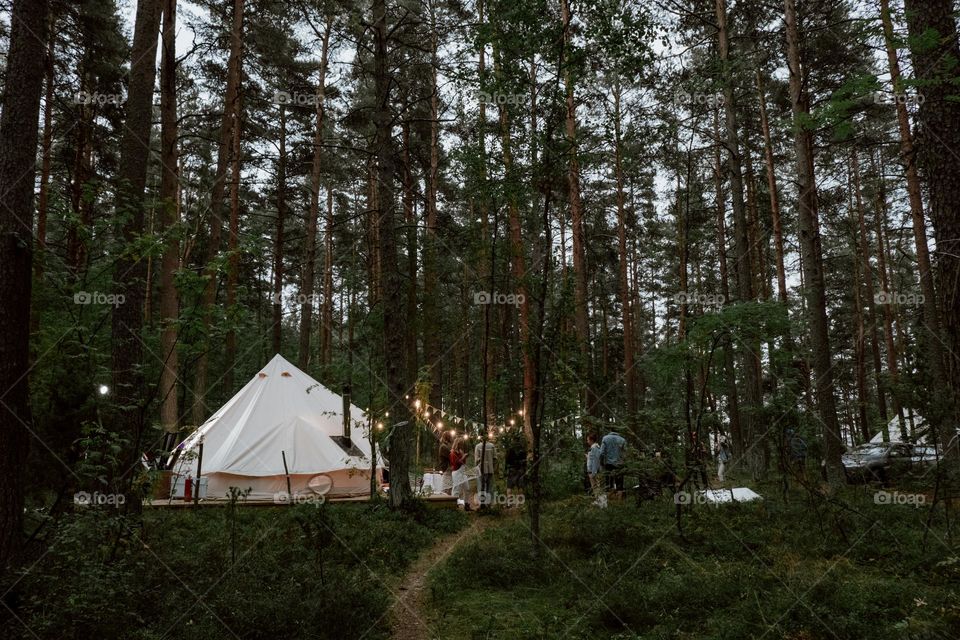 camping in the forest