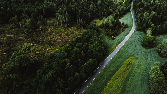 The Midtveien Road