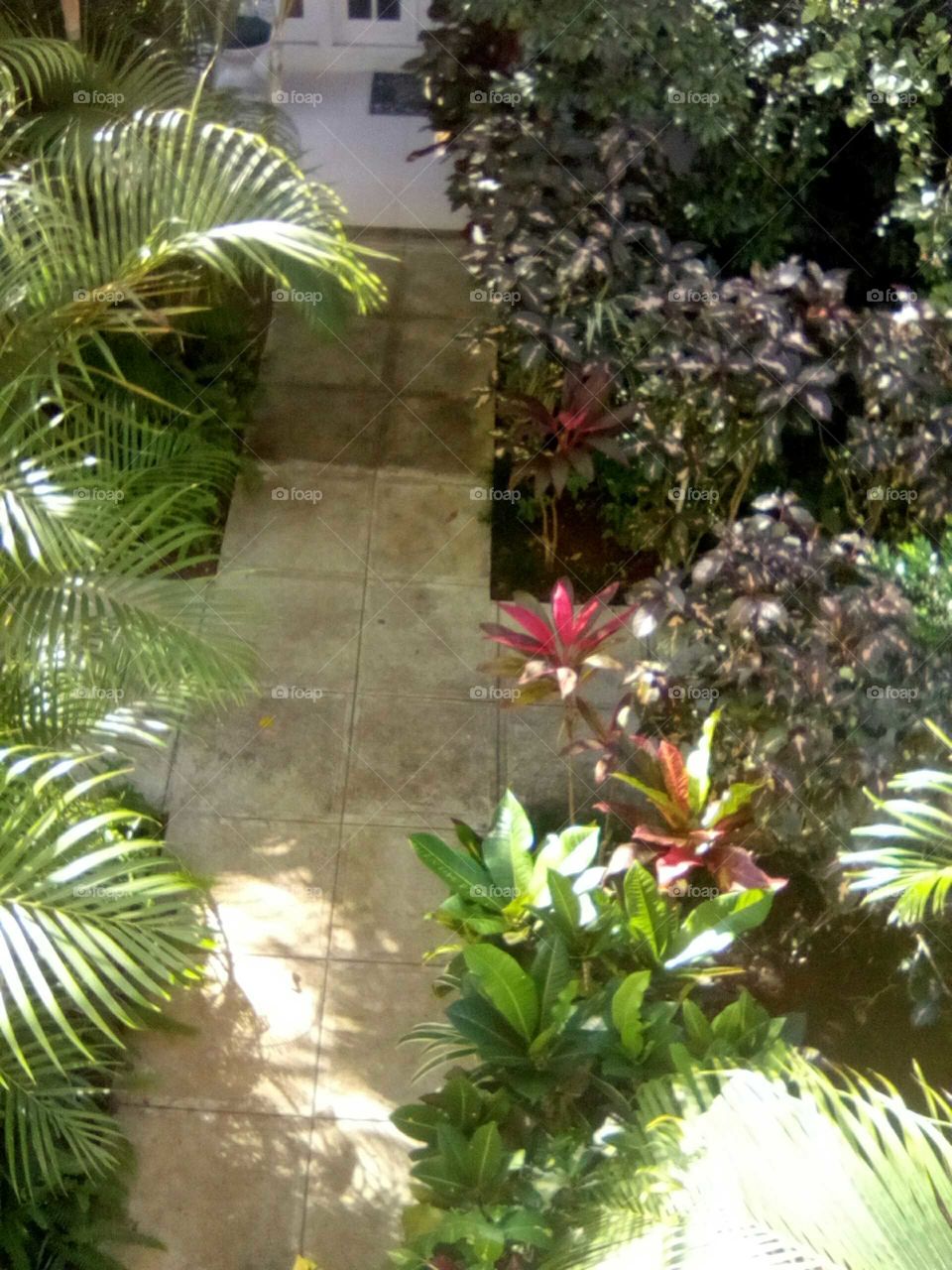 we love life  an should respect beautiful plants take a walk in the  moonlight an feel the cool air on your face