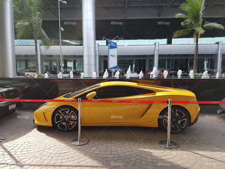 Yellow Lamborghini Gallardo squadra corse special edition coupe